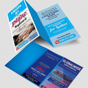 DL Half Folded Leaflets